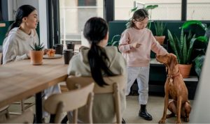 dog-vizsla-sitting-down-being-patted-by-kid-while-family-sits-around-the-table